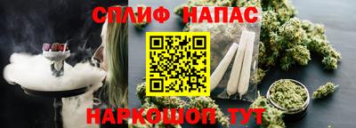 трава Новозыбков