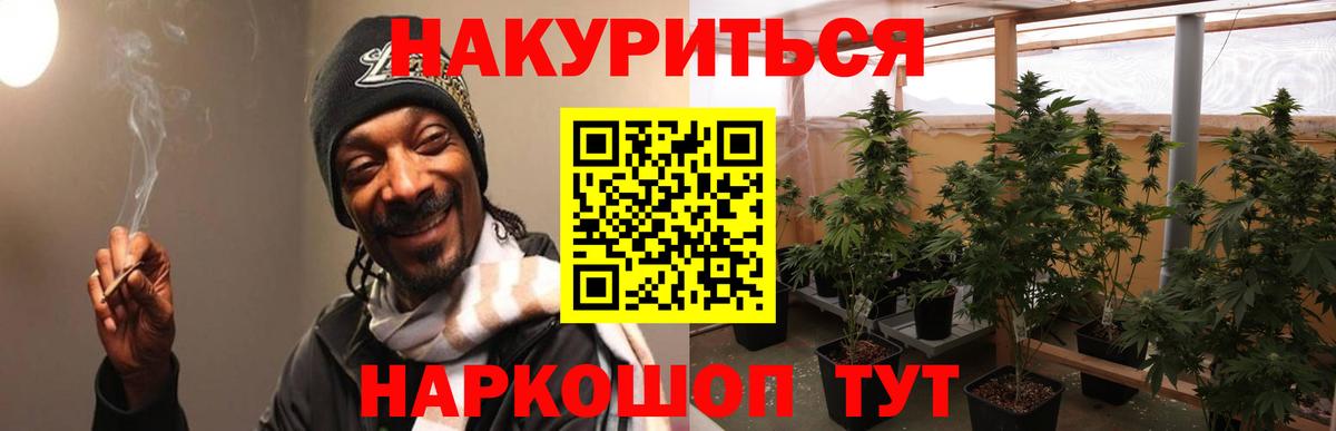 Шишки марихуана ГИДРОПОН  Бошки марихуана MAZAR  Сланцы  Вход с VPN 